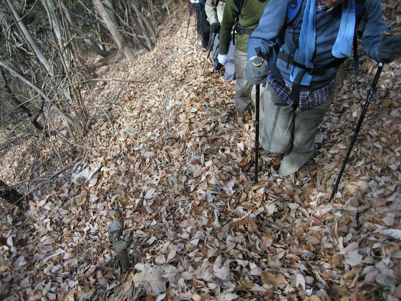 高川山